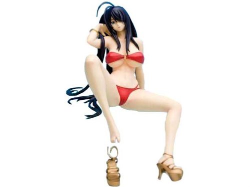 一騎当千 関羽雲長 SummerVacation 限定版