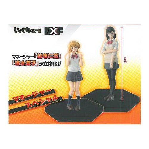 ハイキュー！！ DXFフィギュア マネージャースペシャル！！ 全2種セット