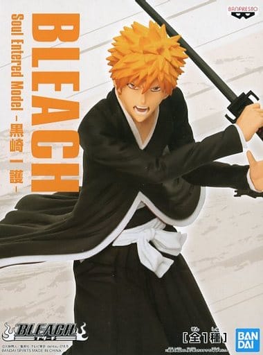 BLEACH-ブリーチ- Soul Entered Model 黒崎一護