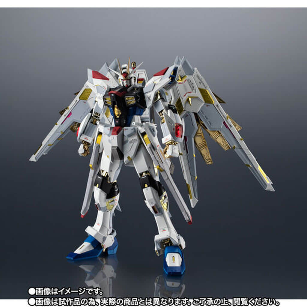 超合金 機動戦士ガンダムSEED FREEDOM マイティーストライクフリーダムガンダム (魂ウェブ商店限定)