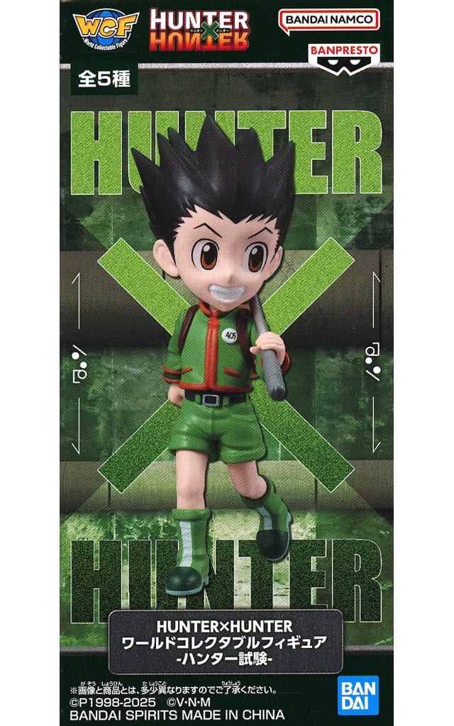 HUNTER×HUNTER ワールドコレクタブルフィギュア-ハンター試験-ゴン=フリークス